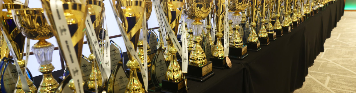 Нагороди поза спортом: як Dnipro Trophy створює кубки та статуетки для міжнародних б’юті-фестивалів