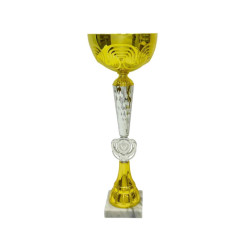 Кубок ДТ2 - 333 B (h 34 см)