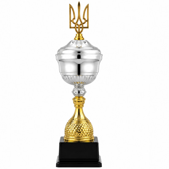 Кубок ДТ3 - 487 A h 52 см - «Дніпро-Трофі»{ru}Кубок ДТ3 - 487 A h 52 см -  «Днепр-Трофи»{/ru}{en}Кубок ДТ3 - 487 A h 52 см - 