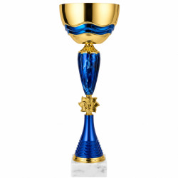 Кубок ДТ2 - 200 B h 43.5 см
