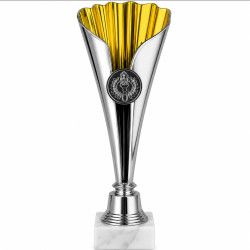 Кубок ДТ1 -  94 h (срібно-золотий) 21.5 см