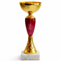 Кубок ДТ1 -  67 C h 20.5 см