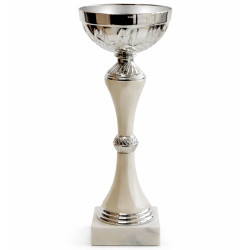 Кубок ДТ1 -  68 C h 23.5 см