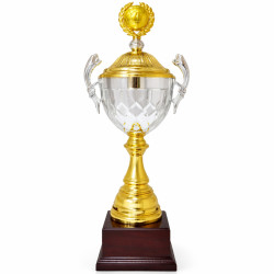 Кубок ДТ3 - 513 A h-54 см
